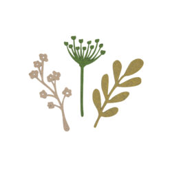 Alternative view of Fleur bloemen, set van 3 stuks, assorti