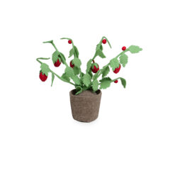 Kidsdepot plant Aardbei - rood