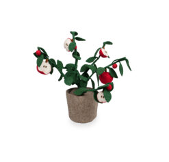 Kidsdepot plant Appel - rood