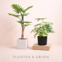 Planten & Groen