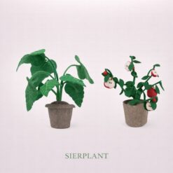 Sierplant