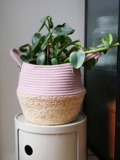 Alternative view of Kidsdepot manden Kori -