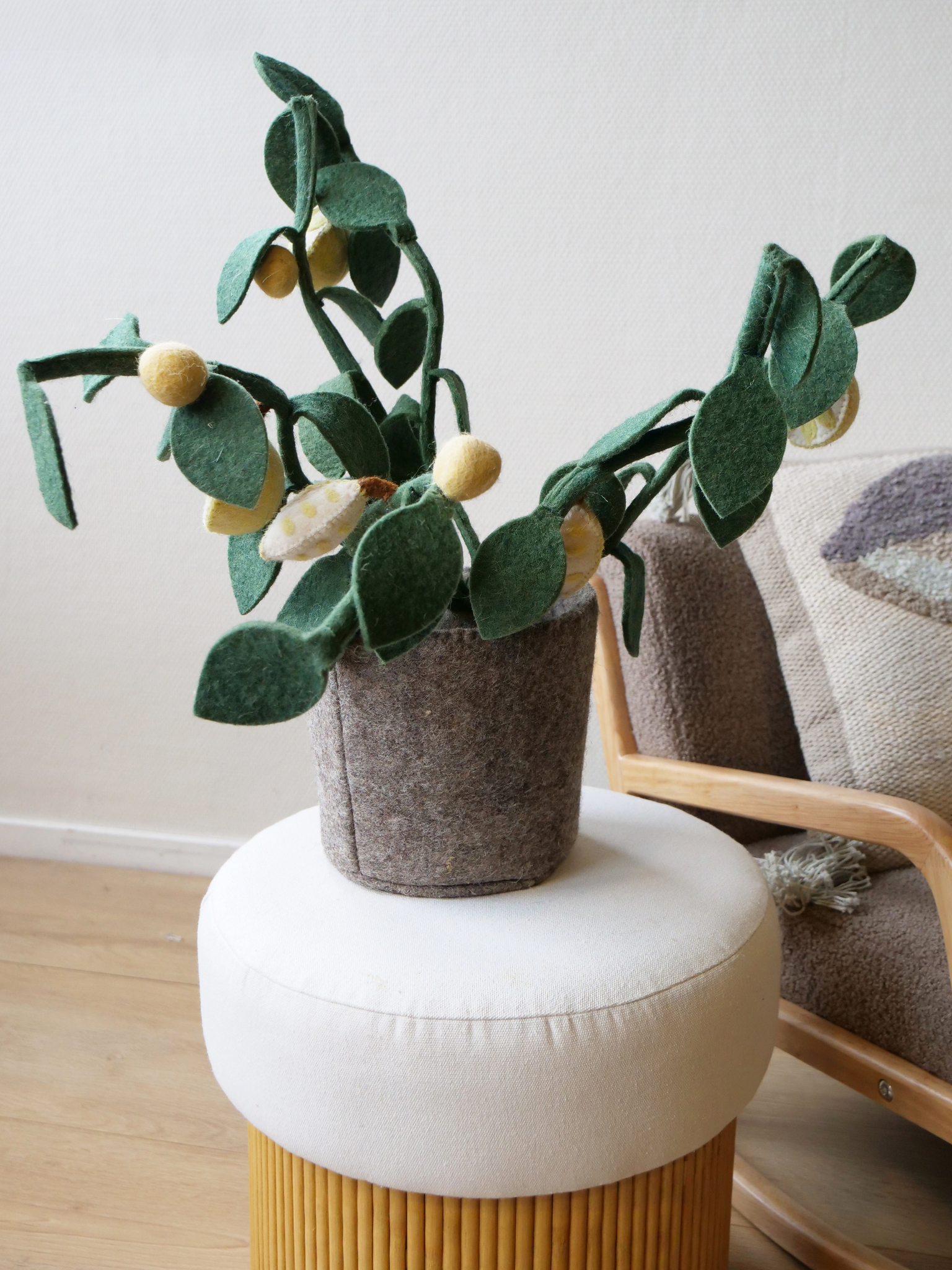 Kidsdepot plant Citrus - - Afbeelding 2