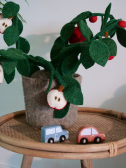 Alternative view of Kidsdepot plant Appel - rood